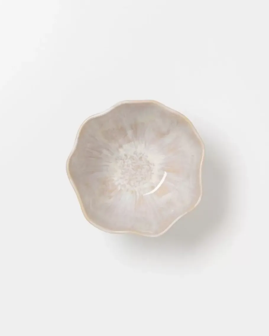Flash Sale Areia Shell Muslischale Sand Müslischalen
