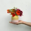 Cheap Bebe Vase Gelb Rose Bebe