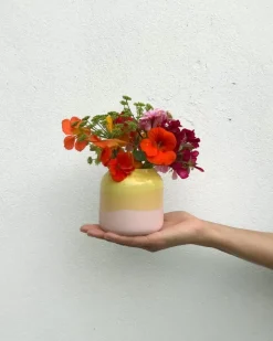 Cheap Bebe Vase Gelb Rose Bebe
